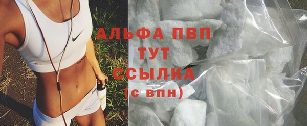 apvp Богородицк